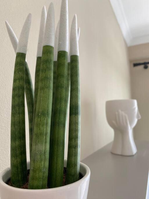 Cozy Flat Appartments In Apartmán