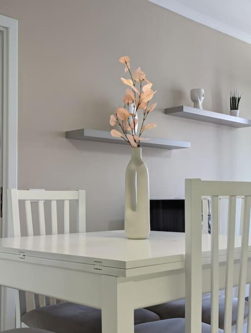 Apartment Cozy Flat Appartments In Tirana